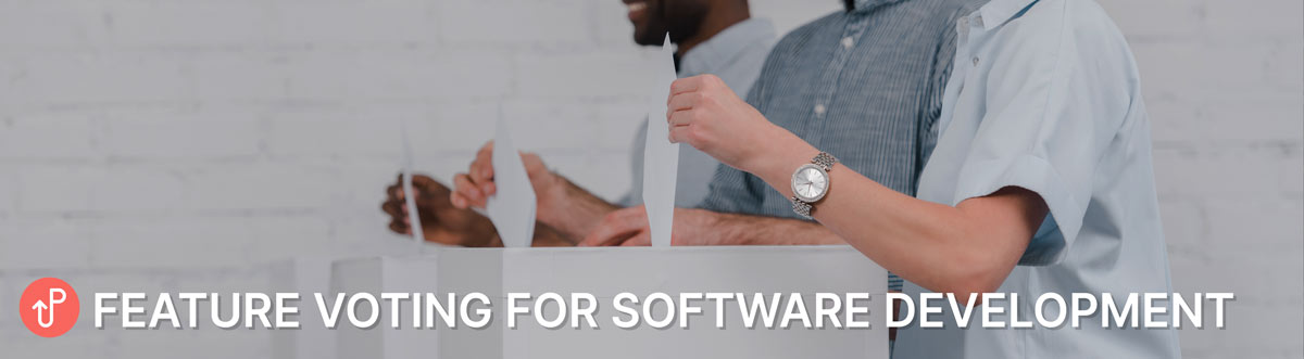 Feature Voting in Software Development
